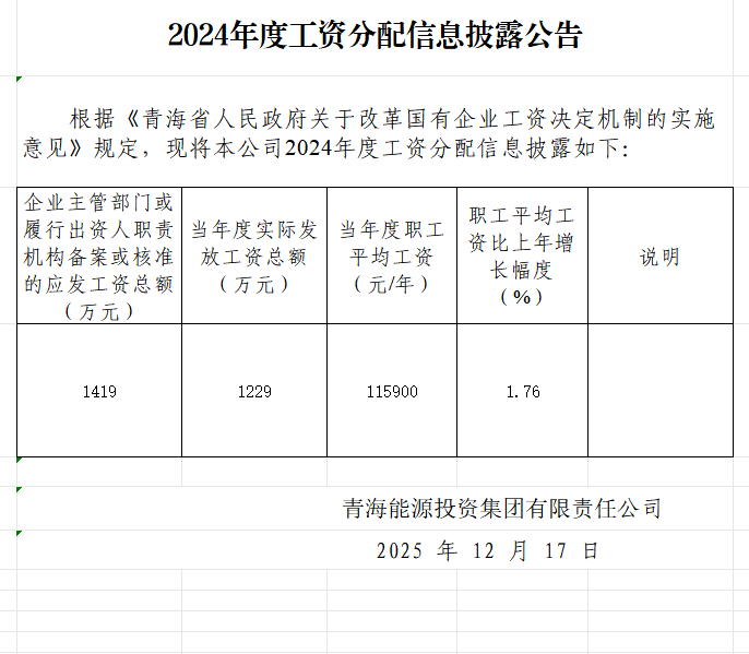 1766040058264482.png 2024年度工資分配信息披露.png